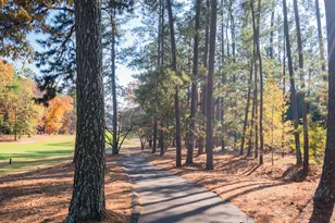 296 Willow Lake Dr, Aiken, SC 29803 - Photo 20