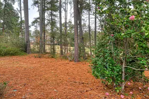 296 Willow Lake Dr, Aiken, SC 29803 - Photo 4