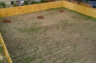 1006 James St, North Augusta, SC 29841 - Photo 44