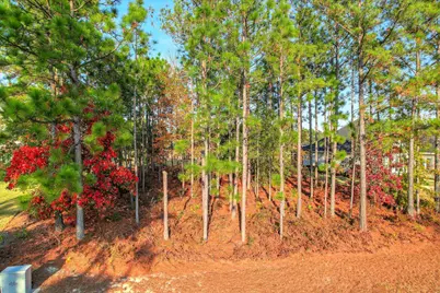 134 Commonwealth Way, Aiken, SC 29803 - Photo 18