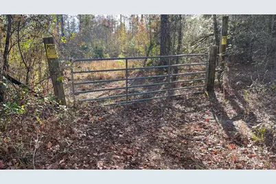 00 Cooper Pond Road, Salley, SC 29137 - Photo 4