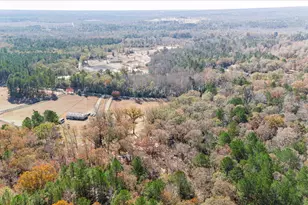 529 Cumbee Trail Rd, Ridge Spring, SC 29129 - Photo 58