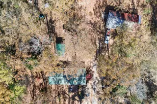 529 Cumbee Trail Rd, Ridge Spring, SC 29129 - Photo 56