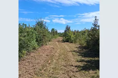 19A Bowie Road, Troy, SC 29848 - Photo 2