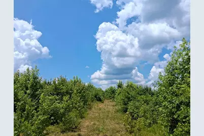 19A Bowie Road, Troy, SC 29848 - Photo 4