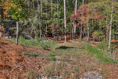 212 Pirates Cove, Mccormick, SC 29835 - Photo 74