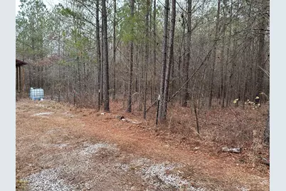 000 Old Chapell Ferry Road, Edgefield, SC 29824 - Photo 2