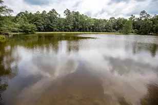 35 Lake Margaret Dr, Denmark, SC 29042 - Photo 26