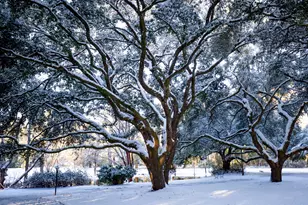 4446 Char-Augusta Rd, Bamberg, SC 29003 - Photo 42