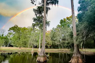 4446 Char-Augusta Rd, Bamberg, SC 29003 - Photo 4