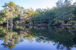 4446 Char-Augusta Rd, Bamberg, SC 29003 - Photo 40