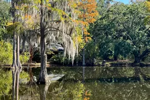 4446 Char-Augusta Rd, Bamberg, SC 29003 - Photo 2