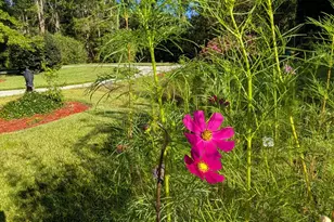 66 Waters Edge Dr, Aiken, SC 29803 - Photo 62