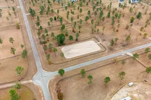 524 Paddock Clb Pkwy, Aiken, SC 29803 - Photo 60