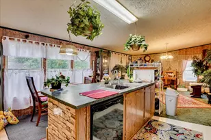 126 Airport Rd, Wagener, SC 29164 - Photo 16