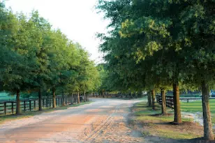 576B McIntosh Loop, Aiken, SC 29805 - Photo 30