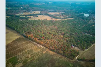0 Windy Ridge Road, Trenton, SC 29847 - Photo 16