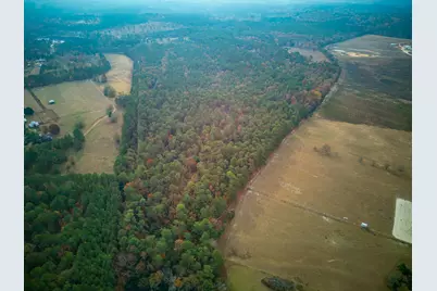 0 Windy Ridge Road, Trenton, SC 29847 - Photo 8