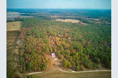 0 Windy Ridge Road, Trenton, SC 29847 - Photo 2