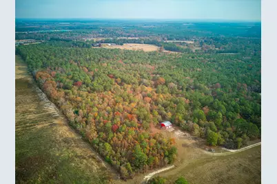 0 Windy Ridge Road, Trenton, SC 29847 - Photo 6
