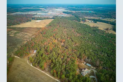 0 Windy Ridge Road, Trenton, SC 29847 - Photo 10