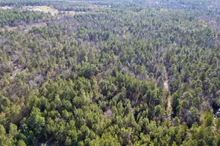 1424 Hatchaway Bridge Rd, Aiken, SC 29801 - Photo 8