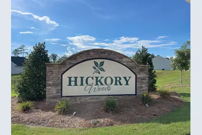 351 Tupelo Pass, Harlem, GA 30814 - Photo 66