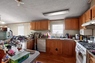 385 Gunter Pond Rd, Wagener, SC 29164 - Photo 8