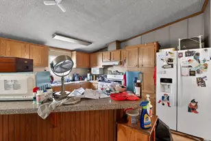 385 Gunter Pond Rd, Wagener, SC 29164 - Photo 4