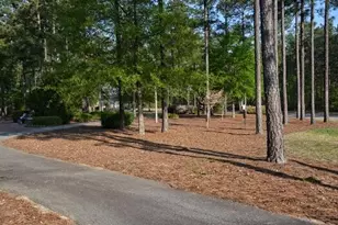 7115 Castlesteads Dr, Aiken, SC 29803 - Photo 70