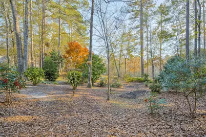 7115 Castlesteads Drive, Aiken, SC 29803 - Photo 46
