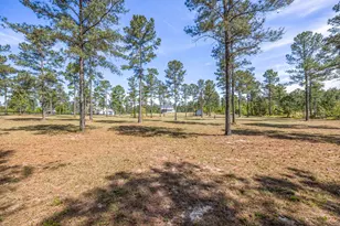 154 Hurlingham Dr, Aiken, SC 29801 - Photo 52