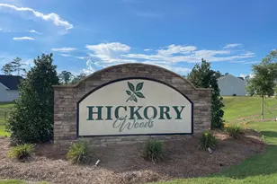 357 Tupelo Pass, Harlem, GA 30814 - Photo 48