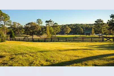 409 Chestnut Brown Court, Warrenville, SC 29851 - Photo 82