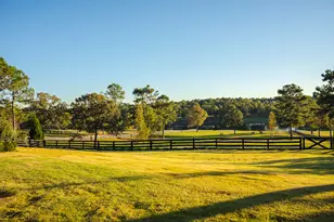 409 Chestnut Brown Ct, Warrenville, SC 29851 - Photo 82