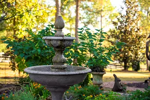 409 Chestnut Brown Ct, Warrenville, SC 29851 - Photo 68