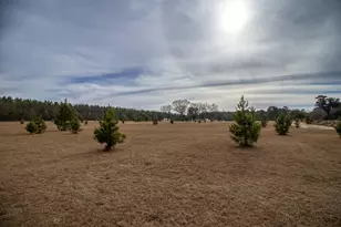 142 Hopewell Rd, North, SC 29112 - Photo 24
