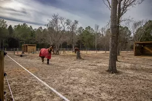 142 Hopewell Rd, North, SC 29112 - Photo 28