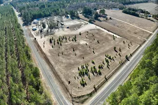 142 Hopewell Rd, North, SC 29112 - Photo 2