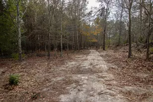 142 Hopewell Rd, North, SC 29112 - Photo 42