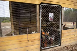 142 Hopewell Rd, North, SC 29112 - Photo 26