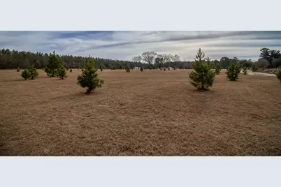 142 Hopewell Road, North, SC 29112 - Photo 26
