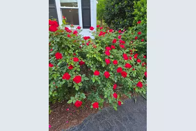 484 Powderhouse Road SE, Aiken, SC 29801 - Photo 46