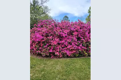 484 Powderhouse Road SE, Aiken, SC 29801 - Photo 46