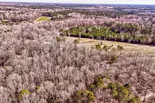 43 Aviary Ln, Johnston, SC 29832 - Photo 60