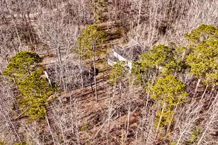 43 Aviary Ln, Johnston, SC 29832 - Photo 62