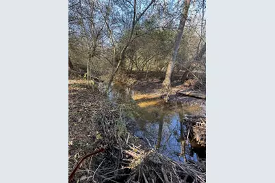 43 Aviary Lane, Johnston, SC 29832 - Photo 52