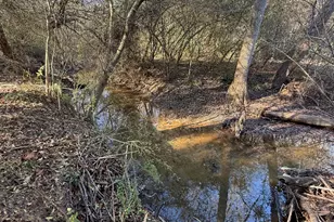 43 Aviary Ln, Johnston, SC 29832 - Photo 52