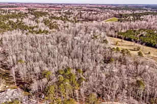 43 Aviary Ln, Johnston, SC 29832 - Photo 58