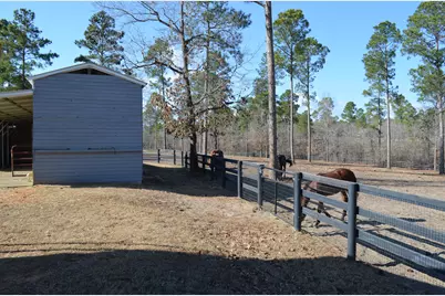 879 Marsh Tacky Run, Aiken, SC 29803 - Photo 28